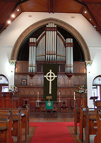 Organ Detail 1