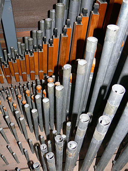 Organ Detail 4