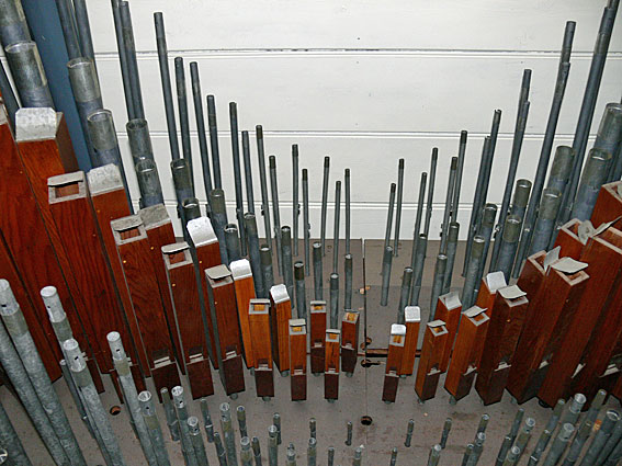 Organ Detail 6