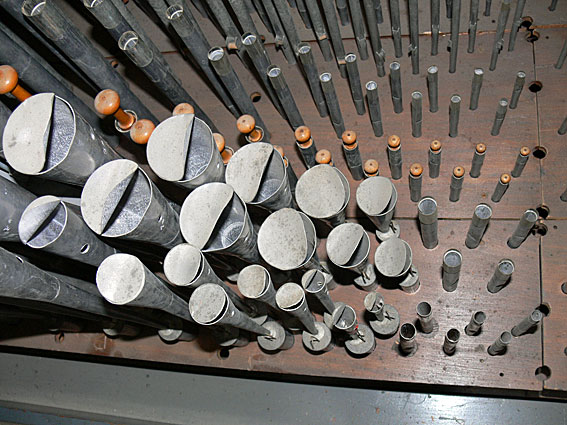 Organ Detail 7