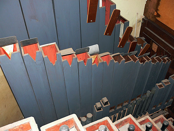 Organ Detail 8