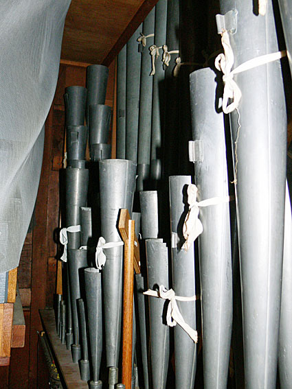 Organ Detail 9