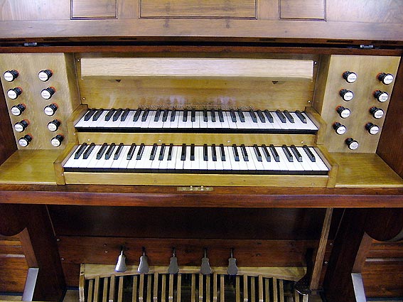 Organ