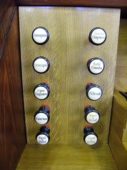 Organ