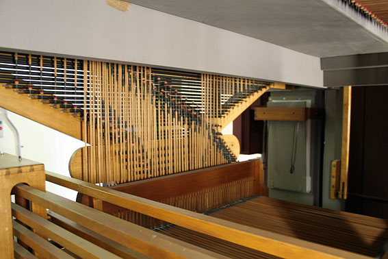 Organ