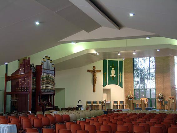 Organ