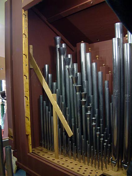 Organ
