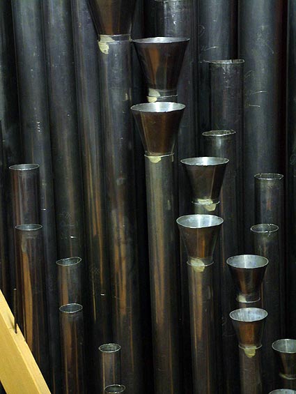 Organ
