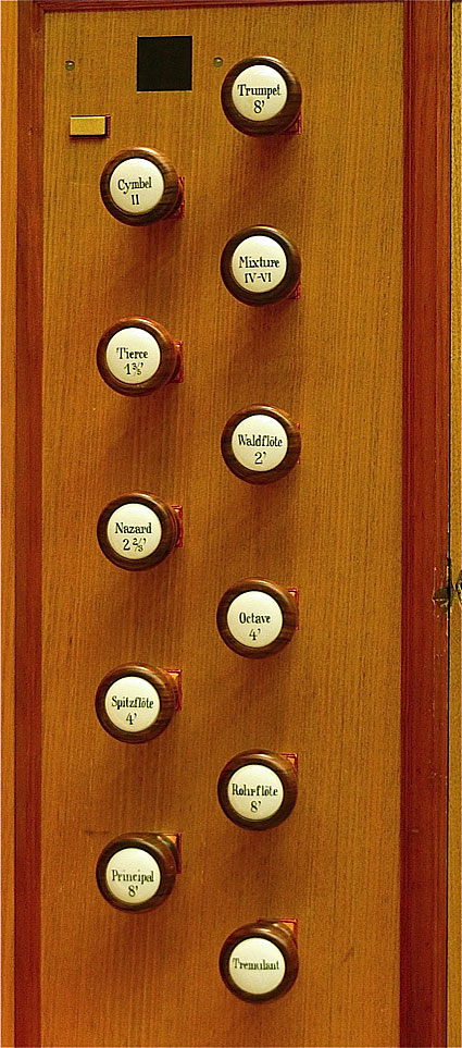 Organ view 3