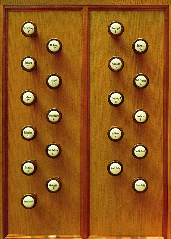 Organ view 4