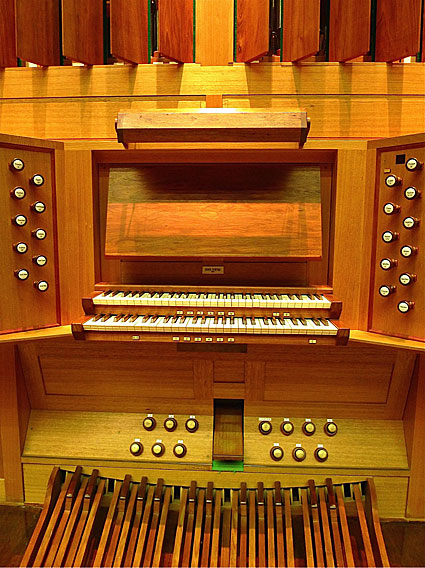 Organ view 5