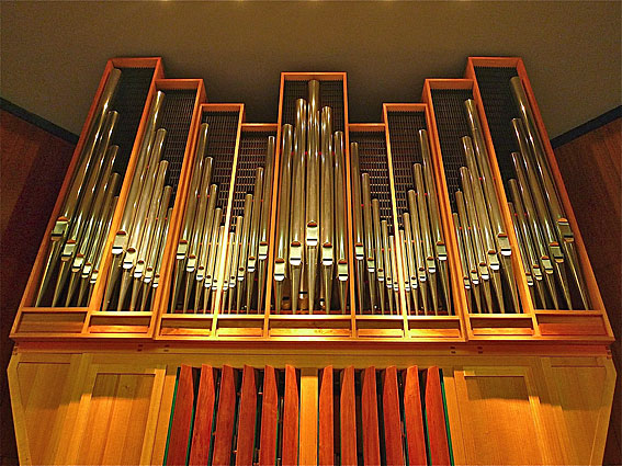 Organ view 6