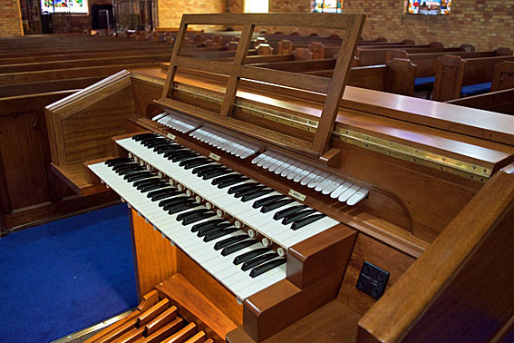 Organ