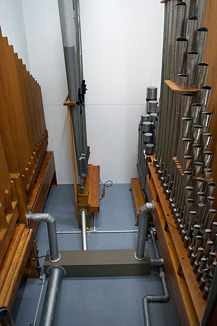 Organ