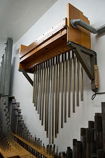 Organ