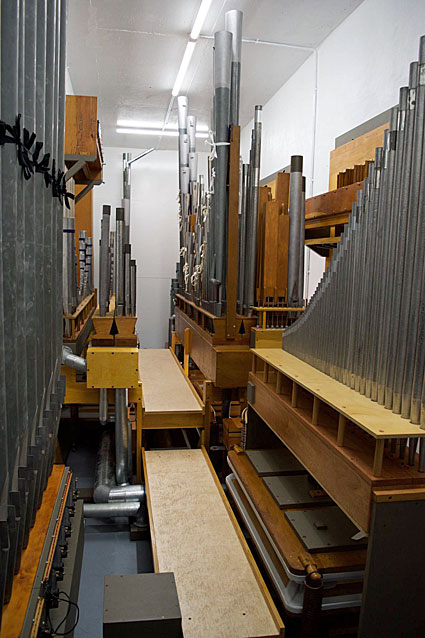 Organ