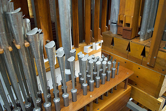 Organ