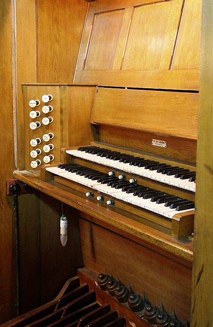 Organ