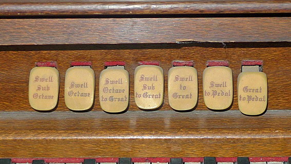 Organ detail
