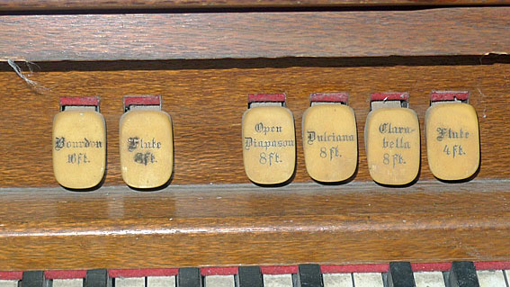 Organ detail