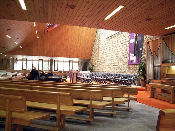 Organ view 5