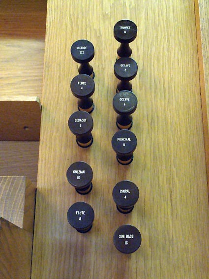 Organ view 3