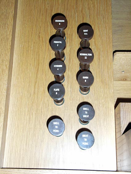 Organ view 2