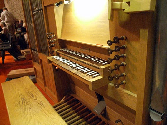 Organ view 1